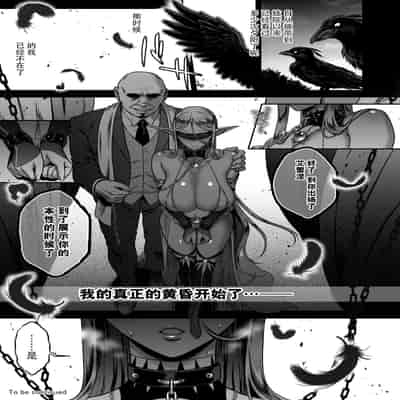 [H B A (Usagi Nagomu)] Tasogare no Shou Elf 5 [Chinese] [脸肿汉化组] [Digital]