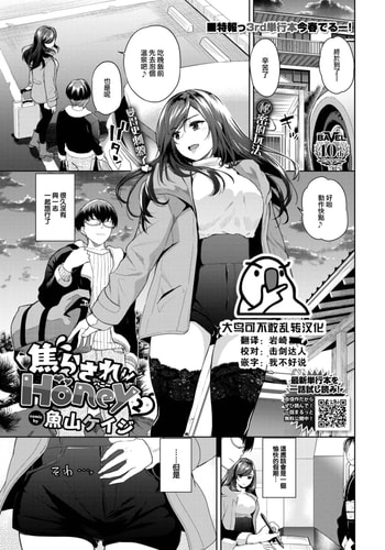 [魚山ケイジ] 焦らされHoney2 (COMIC BAVEL 2025年2月号) [大鸟可不敢乱转汉化] [DL版]