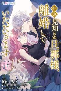 [tumugi iro to、 hisakawa kou ri、 airu mu] haikei misi ranu danna sama、 rikon si te itadaki masu~01｜敬启者素未谋面的丈夫、请和我离婚~01话[中文] [橄榄汉化组]